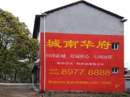 普安百分之90的人都不了解的农村墙体广告