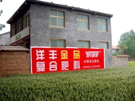 普安如何让墙体广告展现最大化效果