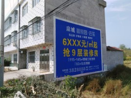 普安墙体广告质量分析